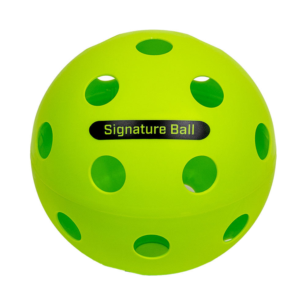 Pickleball The PPa Giant Pickleball