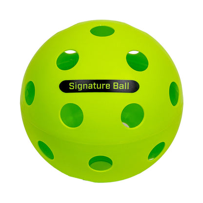 Pickleball The PPa Giant Pickleball