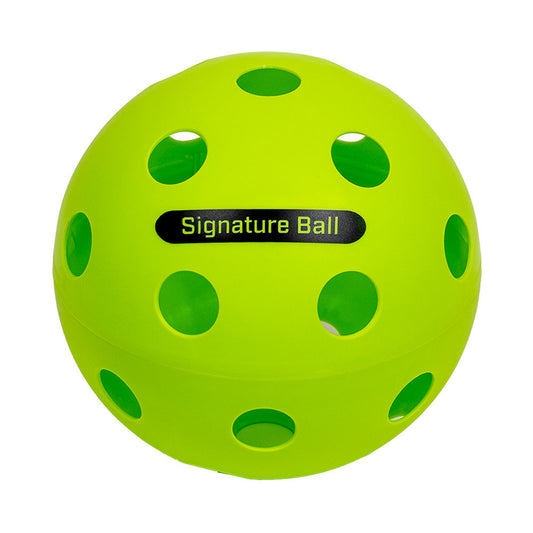Pickleball The PPa Giant Pickleball