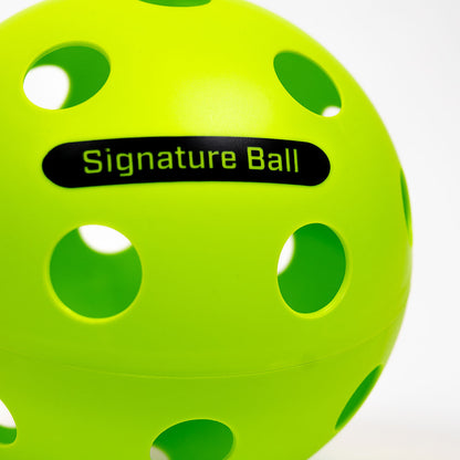 Pickleball The PPa Giant Pickleball